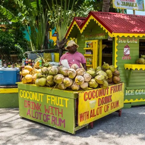 кокосовый киоск на Ямайке продает кокосы с ромом
