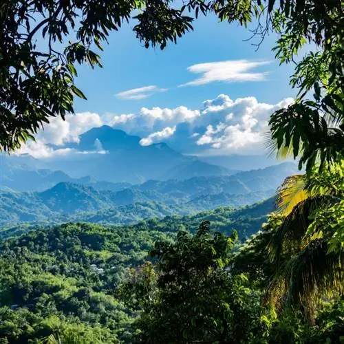 далекий вид на голубые горы Ямайки под голубым небом