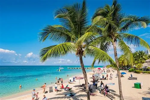 Этот тропический карибский остров с удивительной культурой установил новый туристический рекорд за всю историю