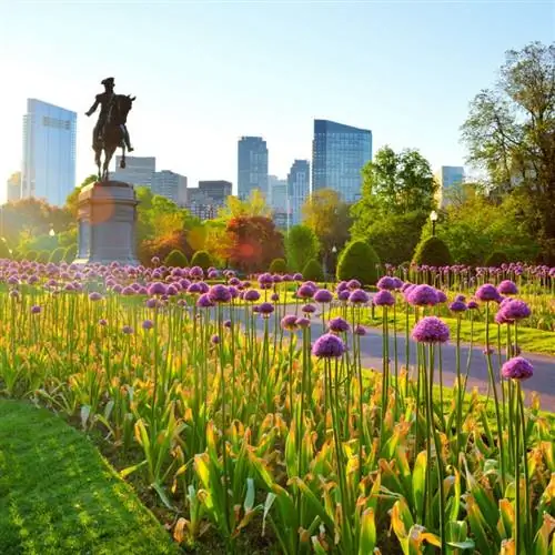 Бостонский общественный сад на рассвете. Статуя Джорджа Вашингтона и горизонт центра города на заднем плане