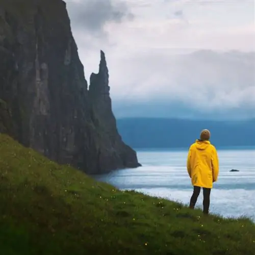 Туристическое наблюдение за китами на Фарерских островах