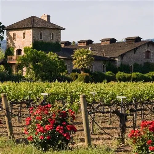 Деревенская винодельня и виноградник в Напе, Калифорния.