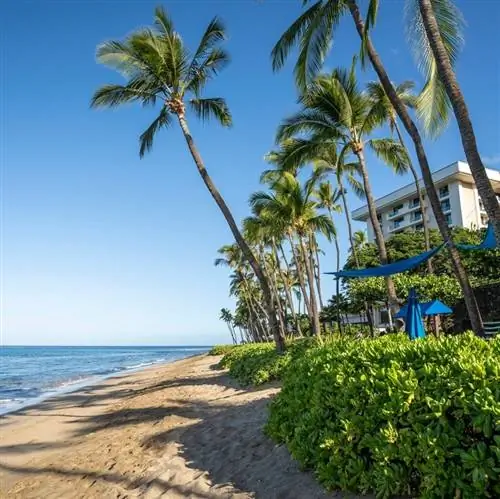 Лахайна, Гавайи