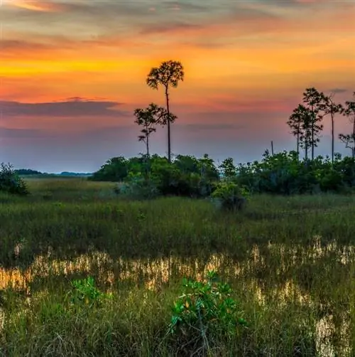 Национальный парк Эверглейдс, Флорида