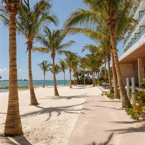 пальмы в отеле JW Marriott в Клируотере, Флорида