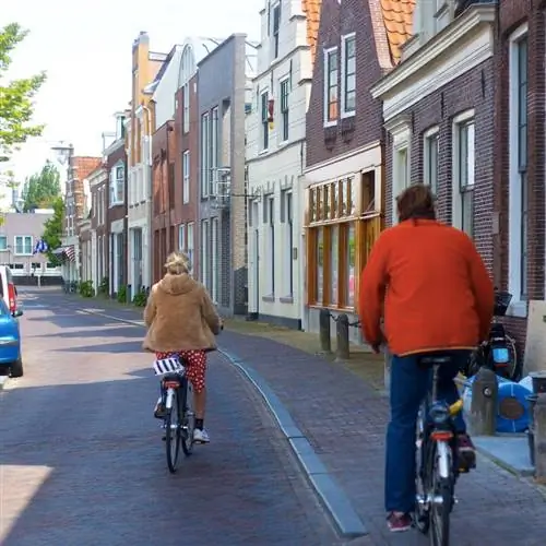 фотография двух человек, едущих на велосипеде по дороге в Нидерландах, вид сзади