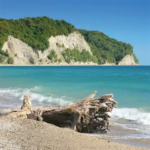 Бах на берегу Черного моря, место не указано.