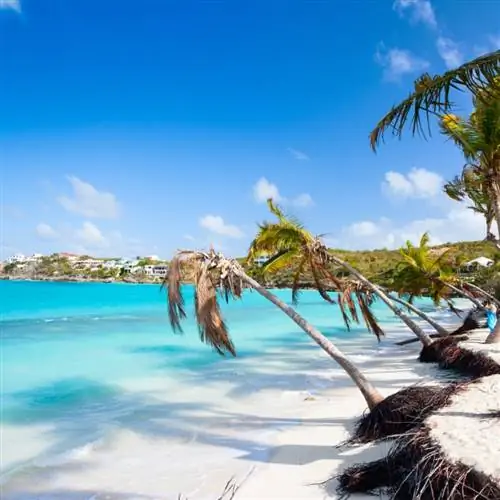 Ангилья Карибский пляж пальмы