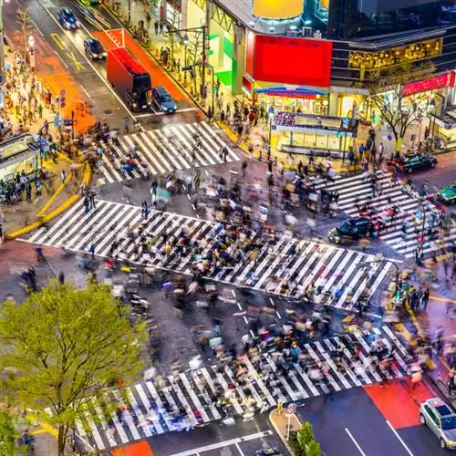 Пересечение Сибуи, Япония, Токио