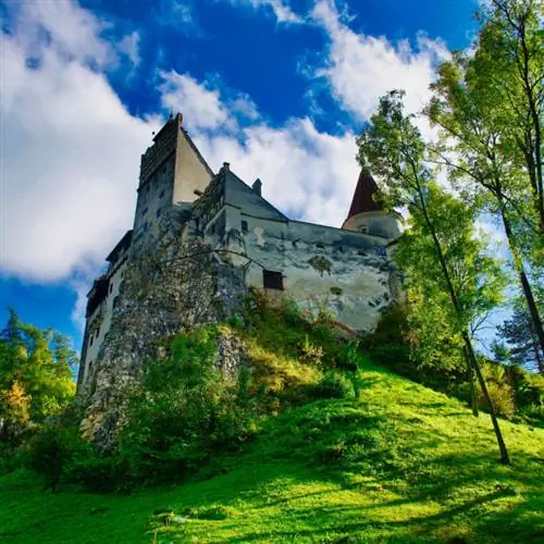 Вид на замок Бран в Румынии с травой и деревьями на переднем плане.