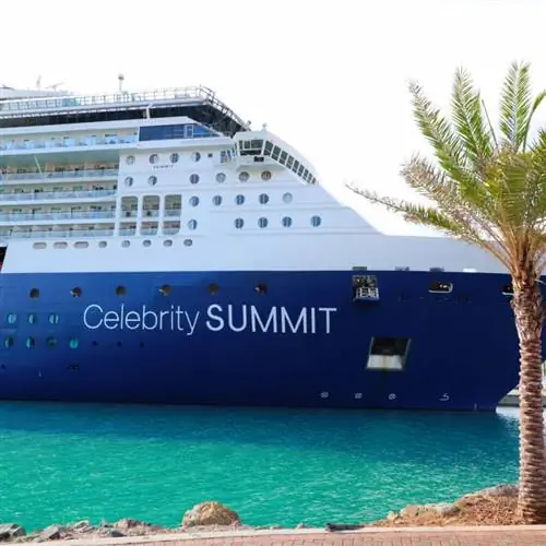 Круизный лайнер Celebrity Summit в доке с пальмой на переднем плане.