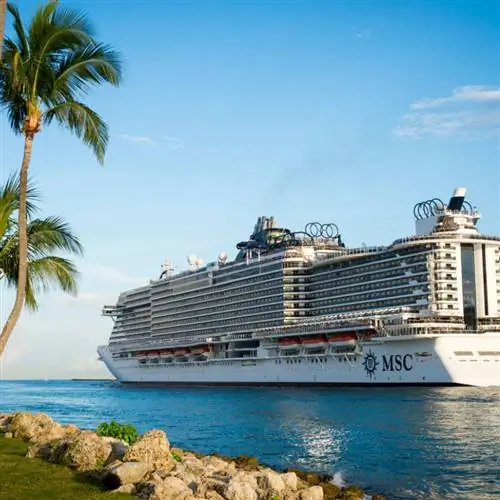 Круизный лайнер MSC пришвартовался среди пальм на переднем плане.