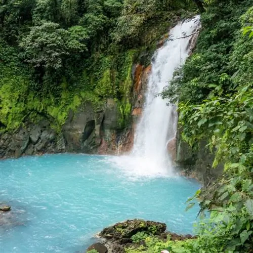 Рио Селеста