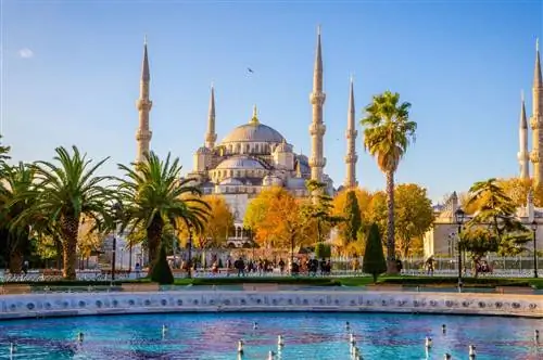 Действительно ли этот трендовый цифровой город-кочевник стоит такой шумихи?