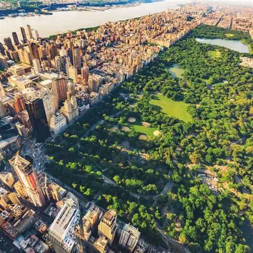 Вид с воздуха на Манхэттен, Нью-Йорк, вид на север, копия Центрального парка.