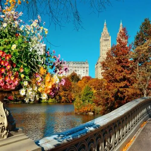 Осень Центрального парка и здания в центре Манхэттена Нью-Йорка