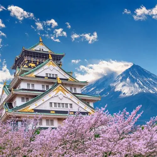 Цветущая вишня и японский замок с горой Фудзи вдалеке