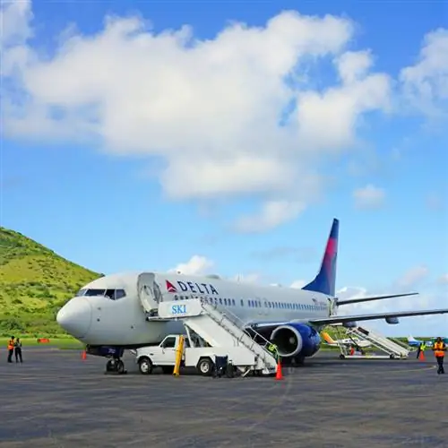 самолет Дельта на взлетно-посадочной полосе на ул. котята