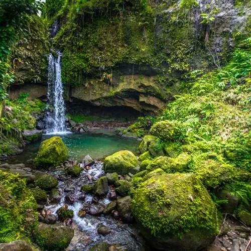 Водопад сбегает в бассейн в джунглях Доминики.