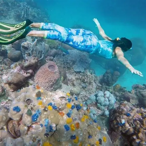 женщина занимается сноркелингом