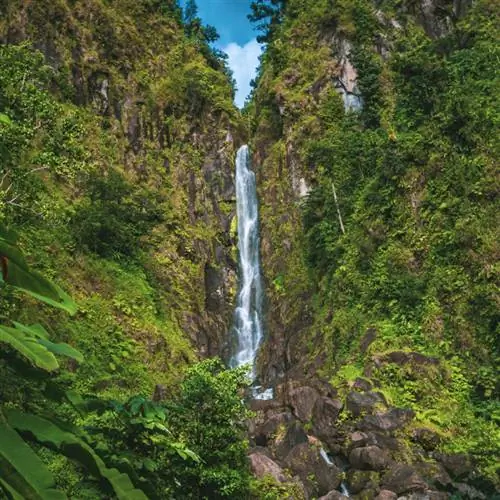 Водопад в Доминике