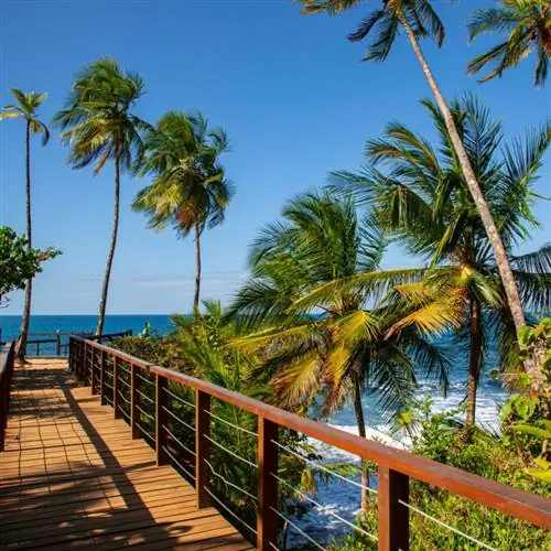 смотровая площадка в национальном парке Мансанильо