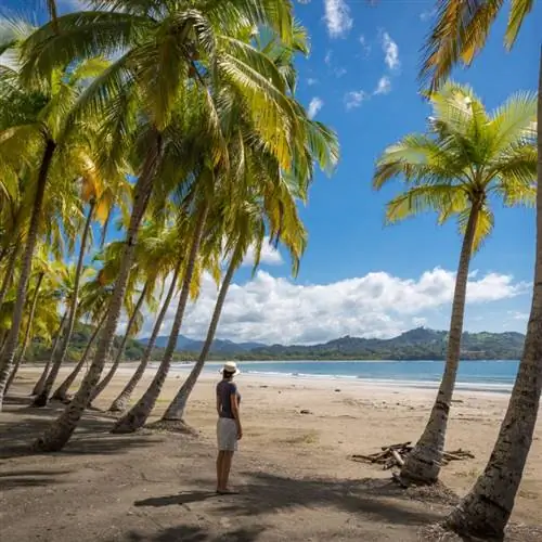 путешественник в Плайя Самара