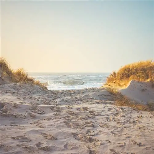 Пляж в Западной Ютландии, Дания