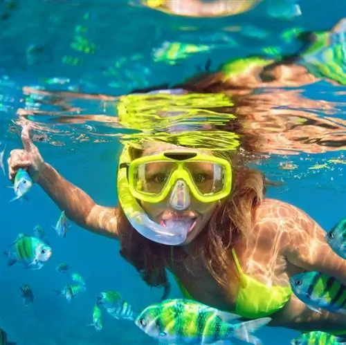 женщины ныряют с маской и трубкой