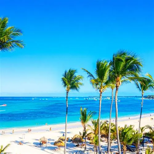 Пуэрто-Рико голубое небо, белый песок, пальмы, пляж