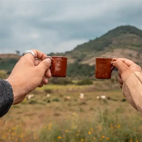 люди держат крошечные кружки