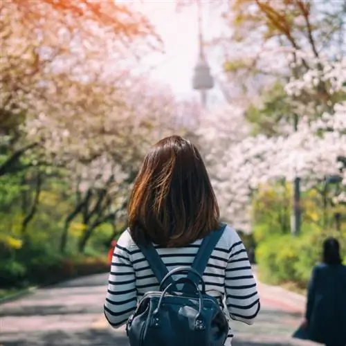 Молодая женщина-путешественница в Сеуле, Южная Корея, цветение сакуры