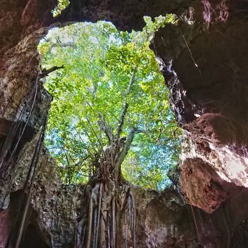 остров Элуэтера