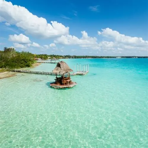 Бакалар Мексика