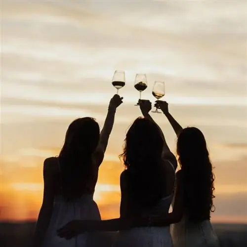 Женщины поджаривают бокалы для вина