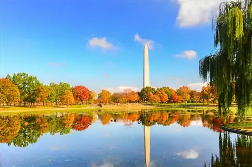 5 доступных направлений в США, которые стоит посетить этой осенью