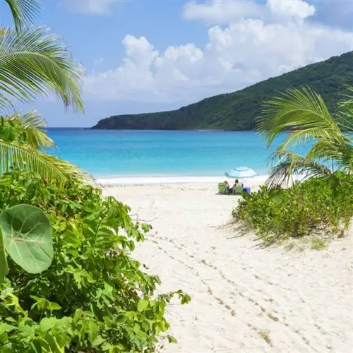 Пляж фламенко, Пуэрто-Рико