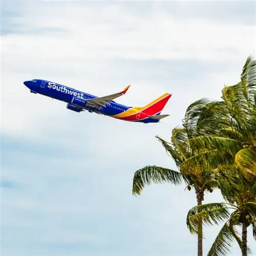 Юго-западный самолет летит над пальмами