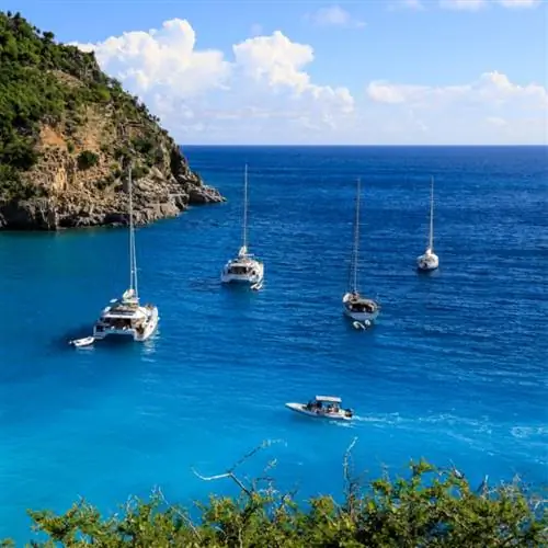 Вид на живописную бухту с бирюзовым лесом недалеко от Шелл-Бич, Сен-Бартс.