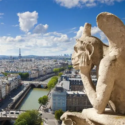 вид на Париж с собора Парижской Богоматери