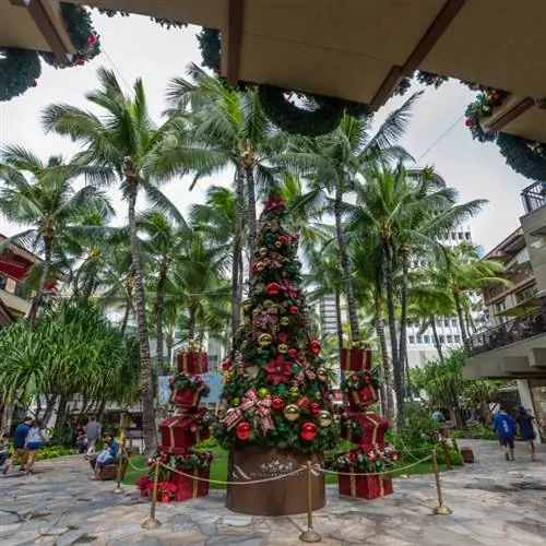 Рождество на Гавайях