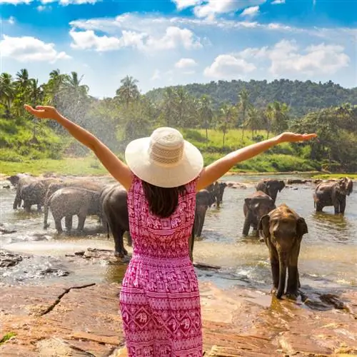 Турист в заповеднике слонов на Шри-Ланке