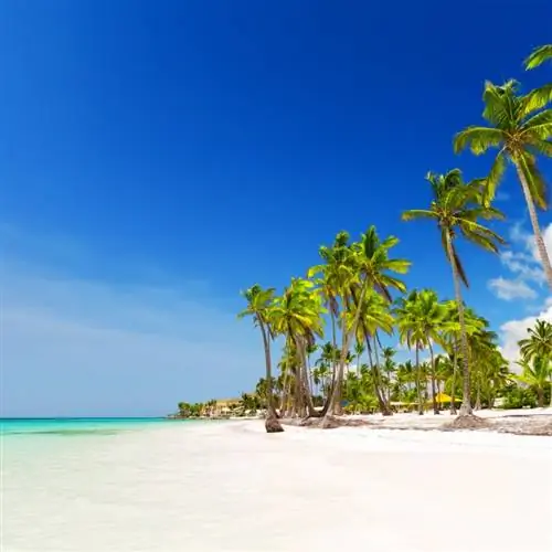 Кокосовые пальмы на белом песчаном пляже в Пунта-Кане, Доминиканская Республика