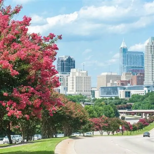 Горизонт Роли летом с цветущими креп-миртовыми деревьями