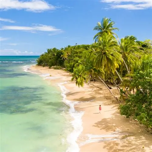 Вид с воздуха на женщину, идущую по пляжу