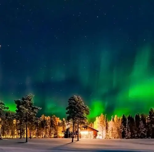 лес с северным сиянием