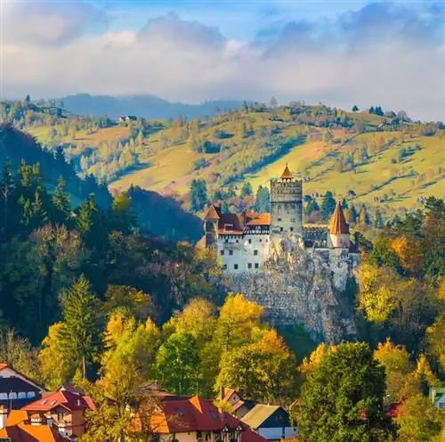 замок в лесу, окруженный домами.