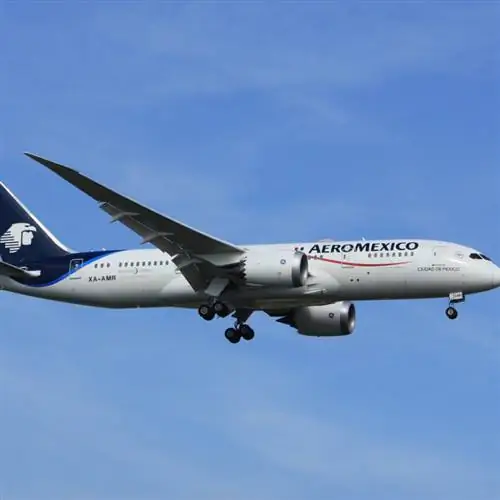 Самолет Aeromexico летит