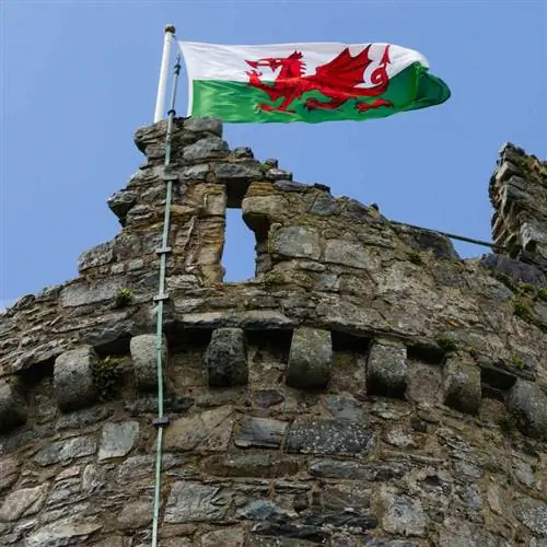 Валлийский флаг, развевающийся на столбе в замке Харлек, Северный Уэльс, Великобритания, Северо-Западная Европа