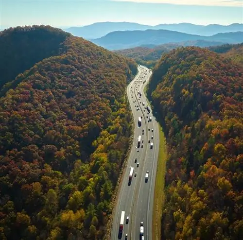 длинная дорога в окружении осенних деревьев